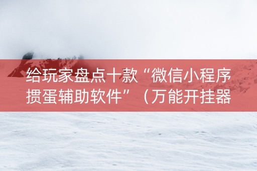 给玩家盘点十款“微信小程序掼蛋辅助软件”（万能开挂器)