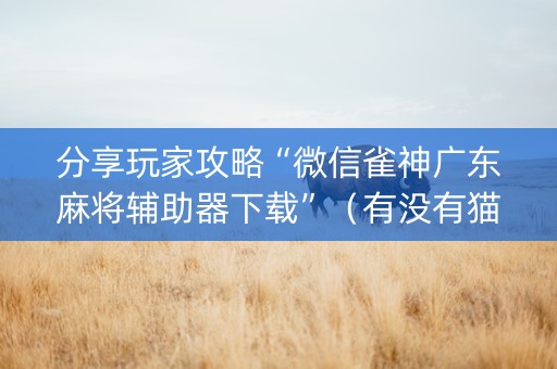 分享玩家攻略“微信雀神广东麻将辅助器下载”（有没有猫腻)