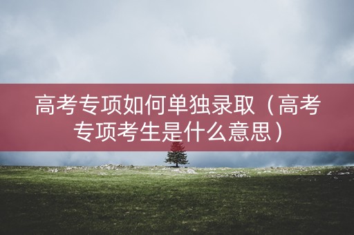 高考专项如何单独录取（高考专项考生是什么意思）