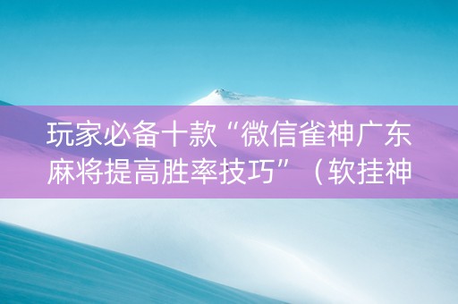 玩家必备十款“微信雀神广东麻将提高胜率技巧”（软挂神器)