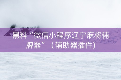黑料“微信小程序辽宁麻将辅牌器”（辅助器插件)
