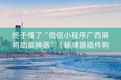 终于懂了“微信小程序广西麻将助赢神器”(辅牌器插件购买) 终于懂了“微信小程序广西麻将助赢神器”(辅牌器插件购买)