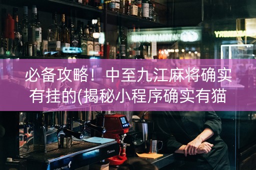必备攻略！中至九江麻将确实有挂的(揭秘小程序确实有猫腻)
