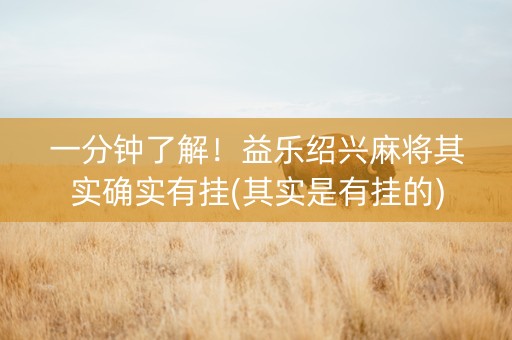 一分钟了解！益乐绍兴麻将其实确实有挂(其实是有挂的)