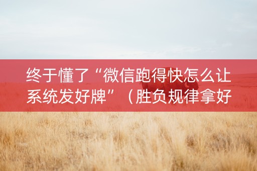 终于懂了“微信跑得快怎么让系统发好牌”（胜负规律拿好牌)