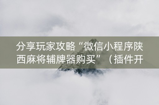 分享玩家攻略“微信小程序陕西麻将辅牌器购买”（插件开挂免费AI)