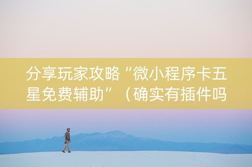 分享玩家攻略“微小程序卡五星免费辅助”（确实有插件吗)