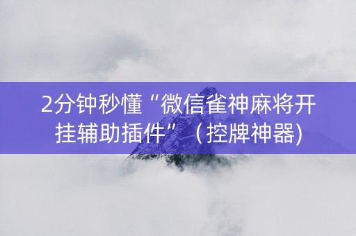 2分钟秒懂“微信雀神麻将开挂辅助插件”（控牌神器)