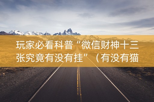玩家必看科普“微信财神十三张究竟有没有挂”（有没有猫腻)