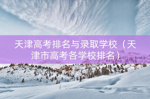 天津高考排名与录取学校（天津市高考各学校排名）