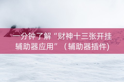 一分钟了解“财神十三张开挂辅助器应用”（辅助器插件)