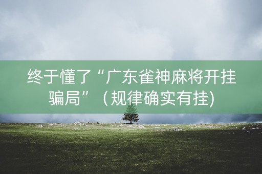 终于懂了“广东雀神麻将开挂骗局”（规律确实有挂)