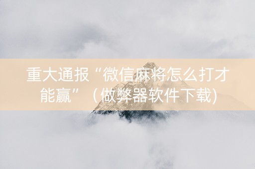 重大通报“微信麻将怎么打才能赢”（做弊器软件下载)