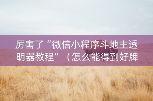 厉害了“微信小程序斗地主透明器教程”（怎么能得到好牌)