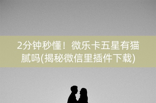 2分钟秒懂！微乐卡五星有猫腻吗(揭秘微信里插件下载)