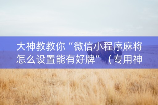 大神教教你“微信小程序麻将怎么设置能有好牌”（专用神器下载)