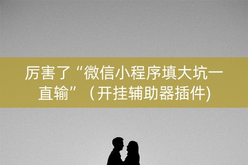 厉害了“微信小程序填大坑一直输”（开挂辅助器插件)