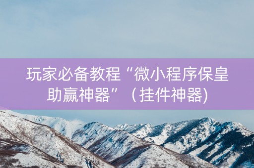 玩家必备教程“微小程序保皇助赢神器”（挂件神器)