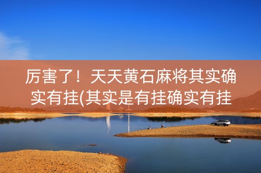 厉害了！天天黄石麻将其实确实有挂(其实是有挂确实有挂)