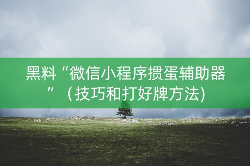 黑料“微信小程序掼蛋辅助器”（技巧和打好牌方法)