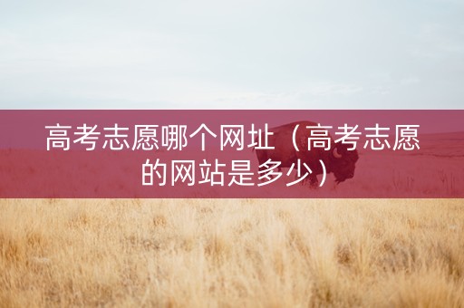 高考志愿哪个网址（高考志愿的网站是多少）