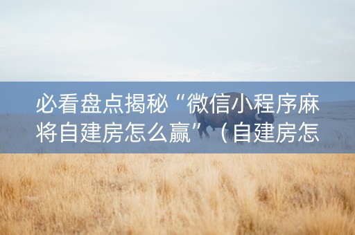 必看盘点揭秘“微信小程序麻将自建房怎么赢”（自建房怎么赢)