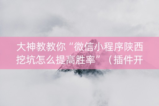 大神教教你“微信小程序陕西挖坑怎么提高胜率”（插件开挂免费AI)