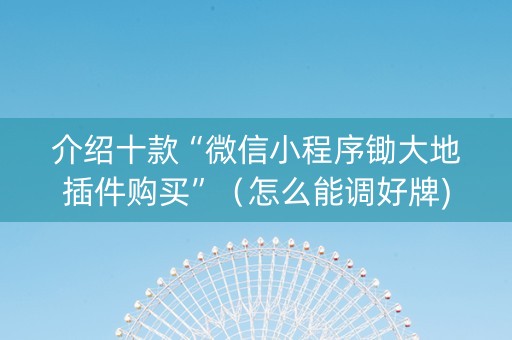 介绍十款“微信小程序锄大地插件购买”（怎么能调好牌)