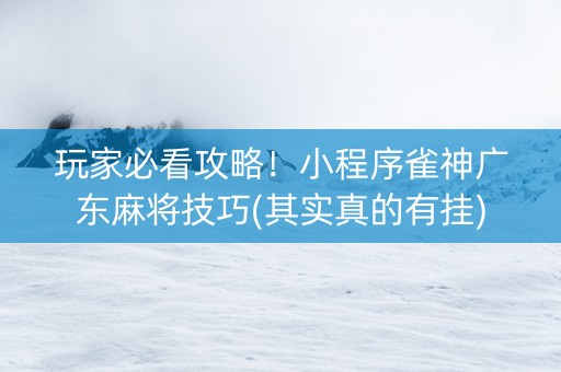 玩家必看攻略！小程序雀神广东麻将技巧(其实真的有挂)