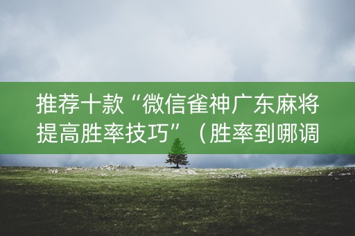 推荐十款“微信雀神广东麻将提高胜率技巧”（胜率到哪调)