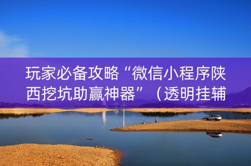 玩家必备攻略“微信小程序陕西挖坑助赢神器”（透明挂辅助器)