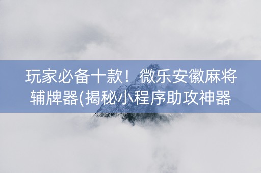 玩家必备十款！微乐安徽麻将辅牌器(揭秘小程序助攻神器)