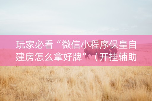 玩家必看“微信小程序保皇自建房怎么拿好牌”（开挂辅助插件)