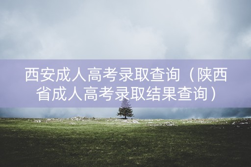 西安成人高考录取查询（陕西省成人高考录取结果查询）