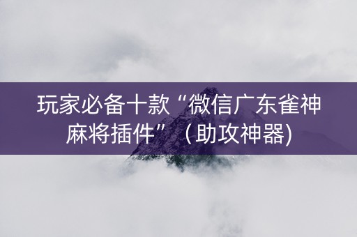 玩家必备十款“微信广东雀神麻将插件”（助攻神器)