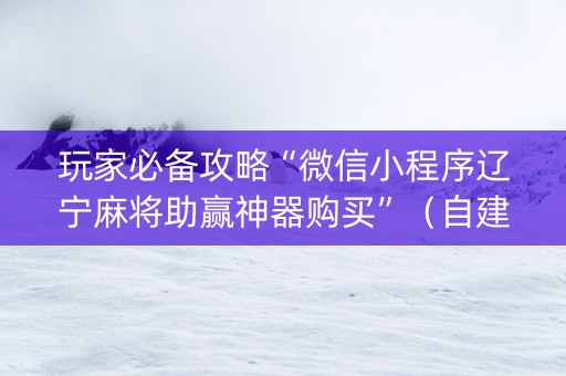 玩家必备攻略“微信小程序辽宁麻将助赢神器购买”（自建房怎么赢)