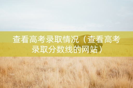 查看高考录取情况（查看高考录取分数线的网站）