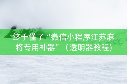 终于懂了“微信小程序江苏麻将专用神器”（透明器教程)