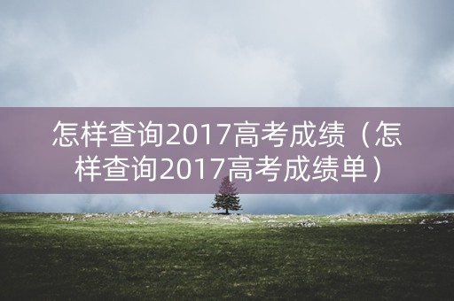 怎样查询2017高考成绩（怎样查询2017高考成绩单）