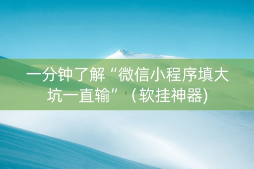 一分钟了解“微信小程序填大坑一直输”（软挂神器)
