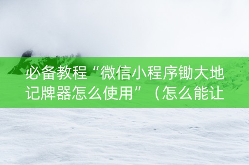 必备教程“微信小程序锄大地记牌器怎么使用”（怎么能让牌好一点)