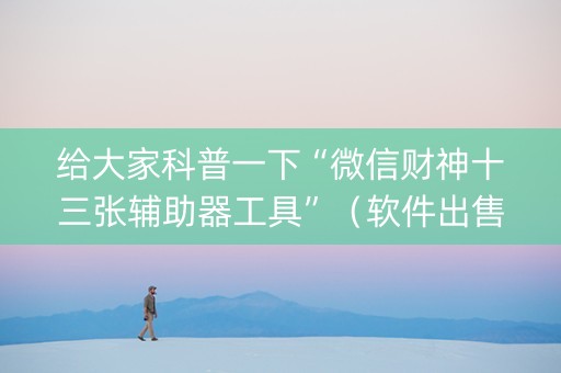 给大家科普一下“微信财神十三张辅助器工具”（软件出售)
