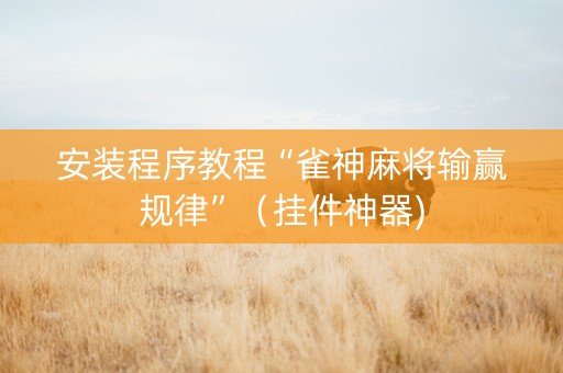 安装程序教程“雀神麻将输赢规律”（挂件神器)
