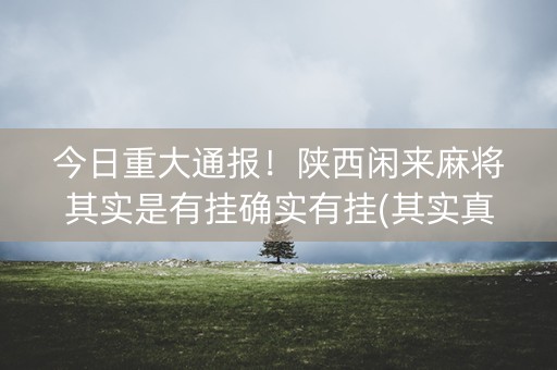 今日重大通报！陕西闲来麻将其实是有挂确实有挂(其实真的确实有挂)