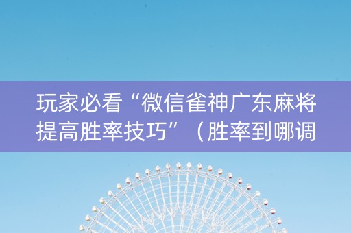 玩家必看“微信雀神广东麻将提高胜率技巧”（胜率到哪调)
