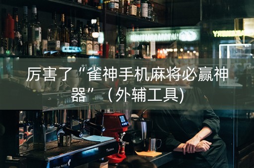 厉害了“雀神手机麻将必赢神器”（外辅工具)