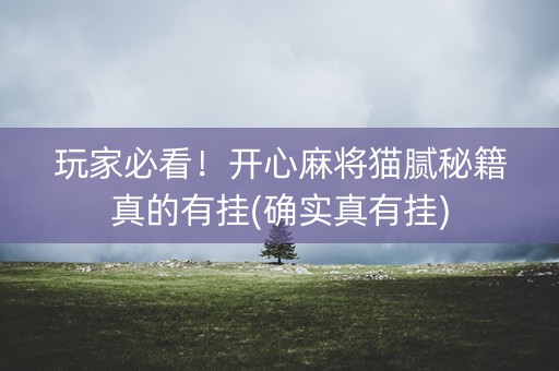 玩家必看！开心麻将猫腻秘籍真的有挂(确实真有挂)