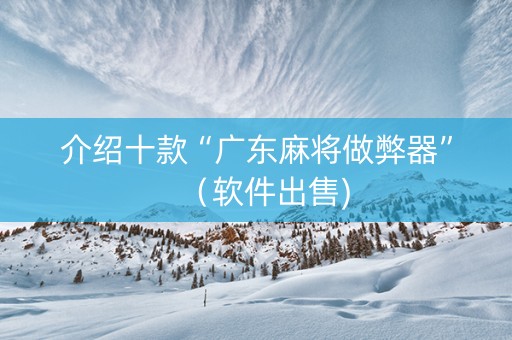 介绍十款“广东麻将做弊器”（软件出售)