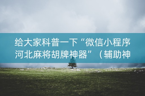 给大家科普一下“微信小程序河北麻将胡牌神器”（辅助神器免费)