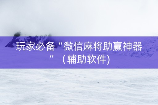 玩家必备“微信麻将助赢神器”（辅助软件)